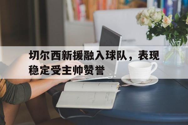 关于切尔西新援融入球队，表现稳定受主帅赞誉的信息
